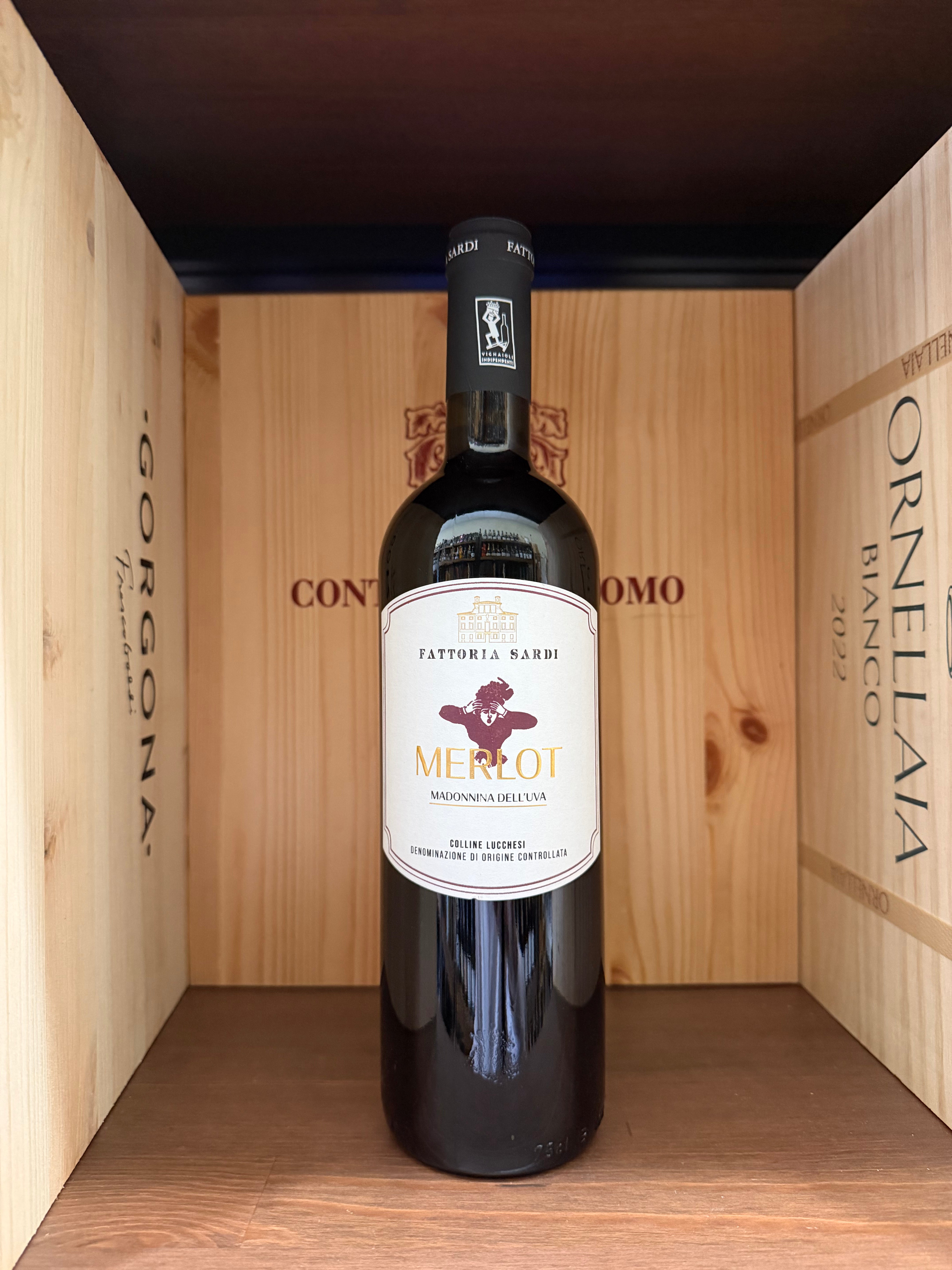 Madonnina dell'Uva Fattoria Sardi 2024, bottiglia di vino rosso con etichetta dettagliata, prodotto da Enoteche Toscane.