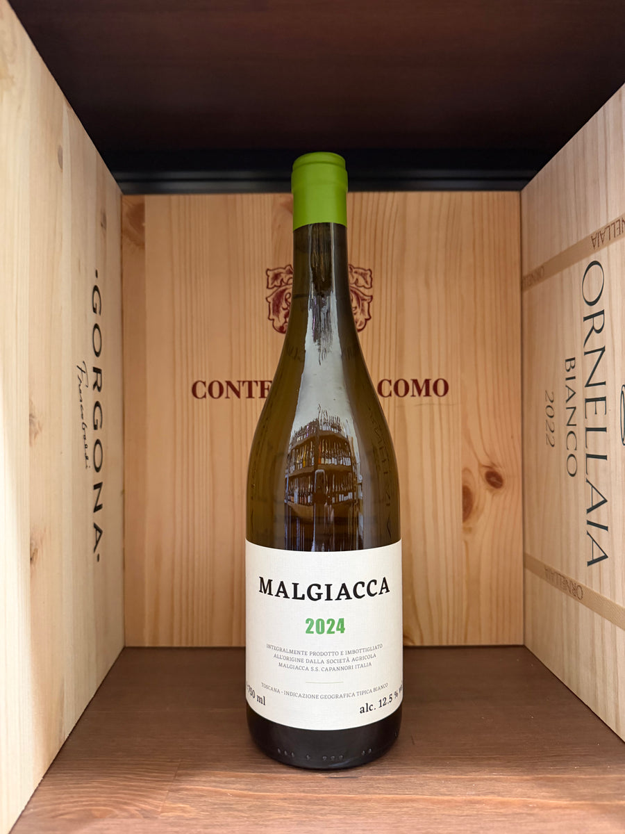 Vigneto di uva bianca con bottiglie di Malgiacca Bianco 2024 di Enoteche Toscane in una cantina italiana.